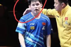 开云sport-瑞典乒乓球队轻取英国乒乓球队，王皓一己之力扛起全队的简单介绍