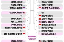 开云sport-包含火力全开！羽毛球比赛数据创纪录的词条