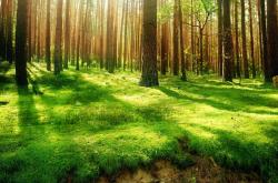 开云体育平台APP-逆袭的艺术，红牛二队绝地反击哈斯，佩雷兹用传奇纪录书写F1新篇