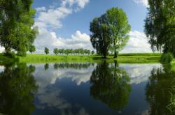 开云体育APP下载-他让草地之王低头，纳达尔在属于别人的领地完成新王登基