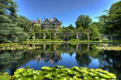 开云体育平台APP-巨塔阴影下的舞者，赵继伟在鏖战中的高光诗篇