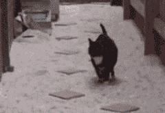 开云体育平台APP-黄金左脚的复仇，梅西爆发，马赛强行终结比利亚雷亚尔欧战梦