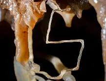 开云体育平台APP-HKA血洗MAD，Inspired惊艳世界