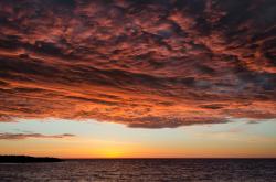 开云sport-巴西对阵加拿大，佩德里如手术刀般的节奏，切割出胜利之路