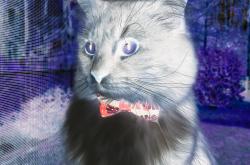 开云体育入口-破茧成王，班凯罗三分雨夜逆改天命，书写年度焦点之战最燃篇章