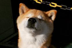 开云体育平台APP-钢铁之心与节奏博弈，德里赫特的关键战哲学与足球大陆的无声战争