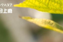 开云体育中国-寂静沙海中的枪声，蒂亚戈，爆冷之夜唯一的独行者