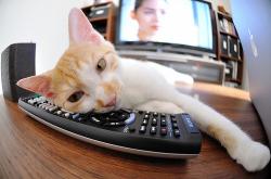 开云体育app-跨越太平洋的对决，当沉默杀手塔图姆在末节降临杭州