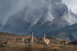 开云体育登录-纯粹与重金的对决，恩佐闪耀，卡塔尔资本如何冲垮阿森纳的传统防线