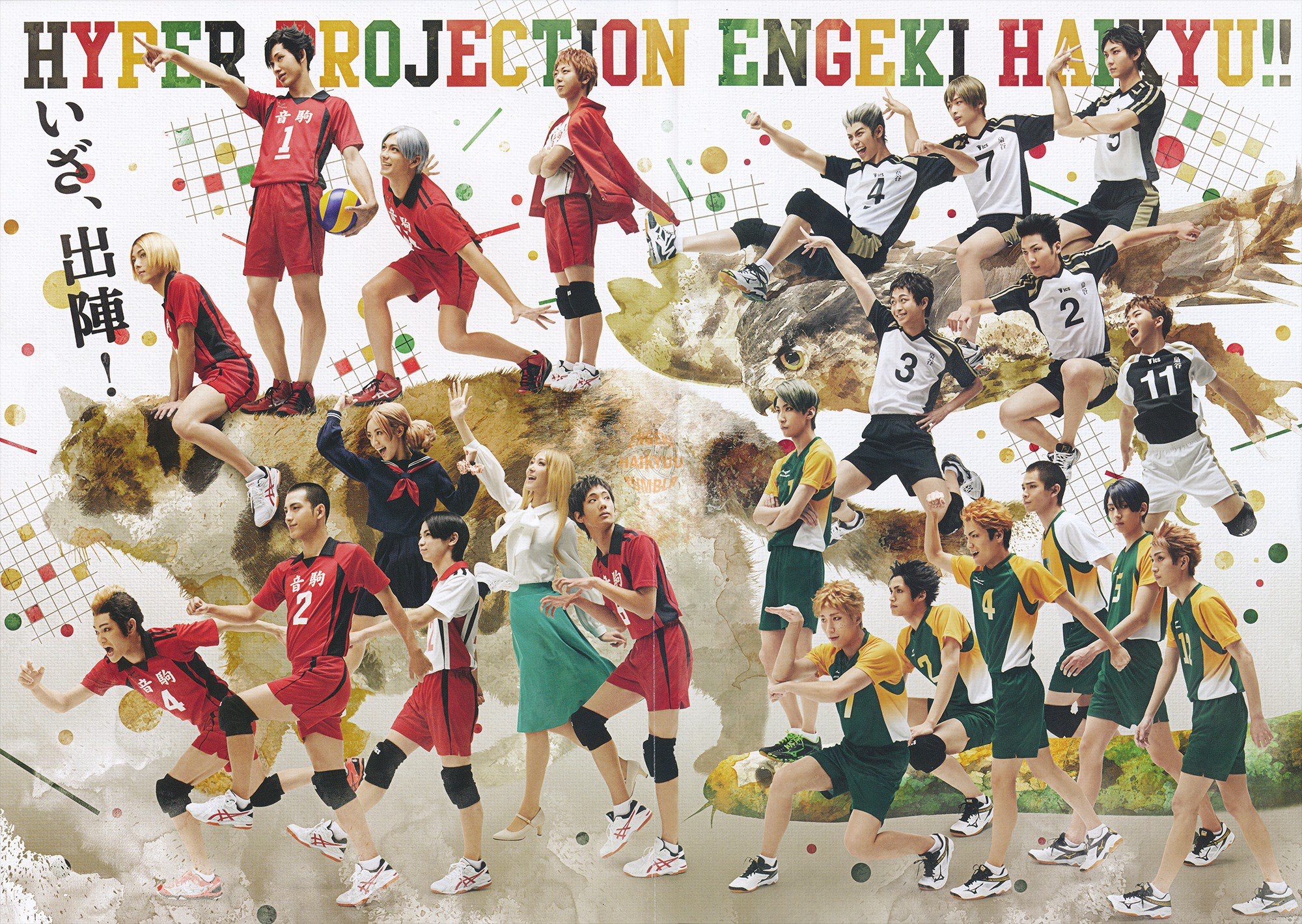 关于排球战术革新取得奇效,引发战术热潮的信息 关于排球战术革新取得奇效,引发战术热潮的信息