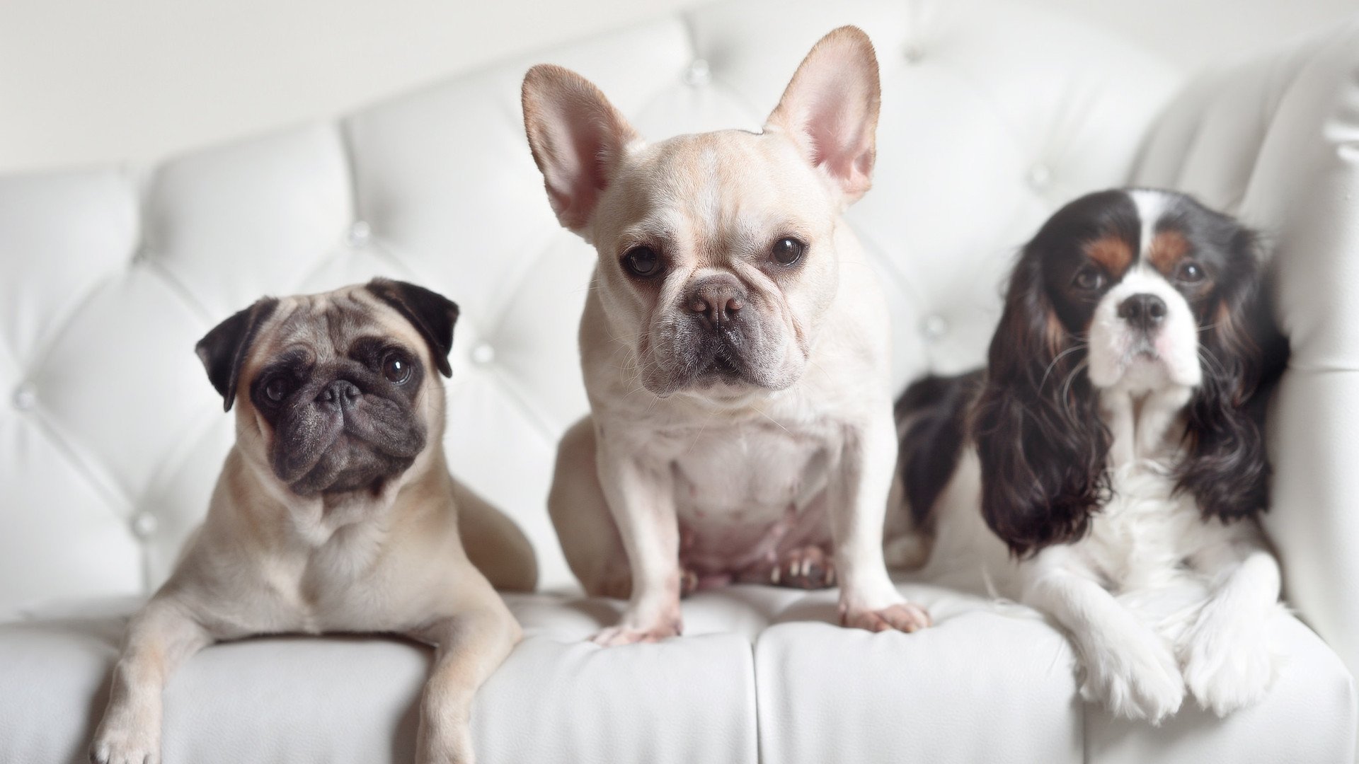 世界排名争夺战之夜，当烟花为杰伦格林而燃