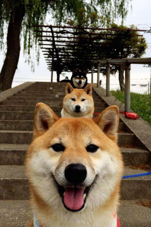 五秒窒息到永恒逆袭,小贾伦与勇士队的涅槃四分钟