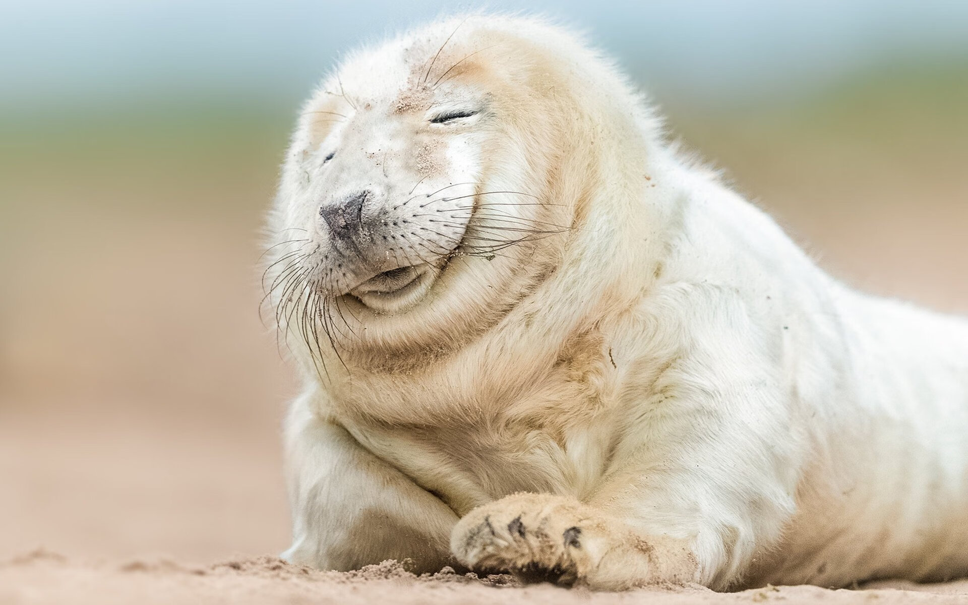 当爵士乐闯入交响厅,布克幽灵节奏如何让勇士与骑士忘记自己的乐谱