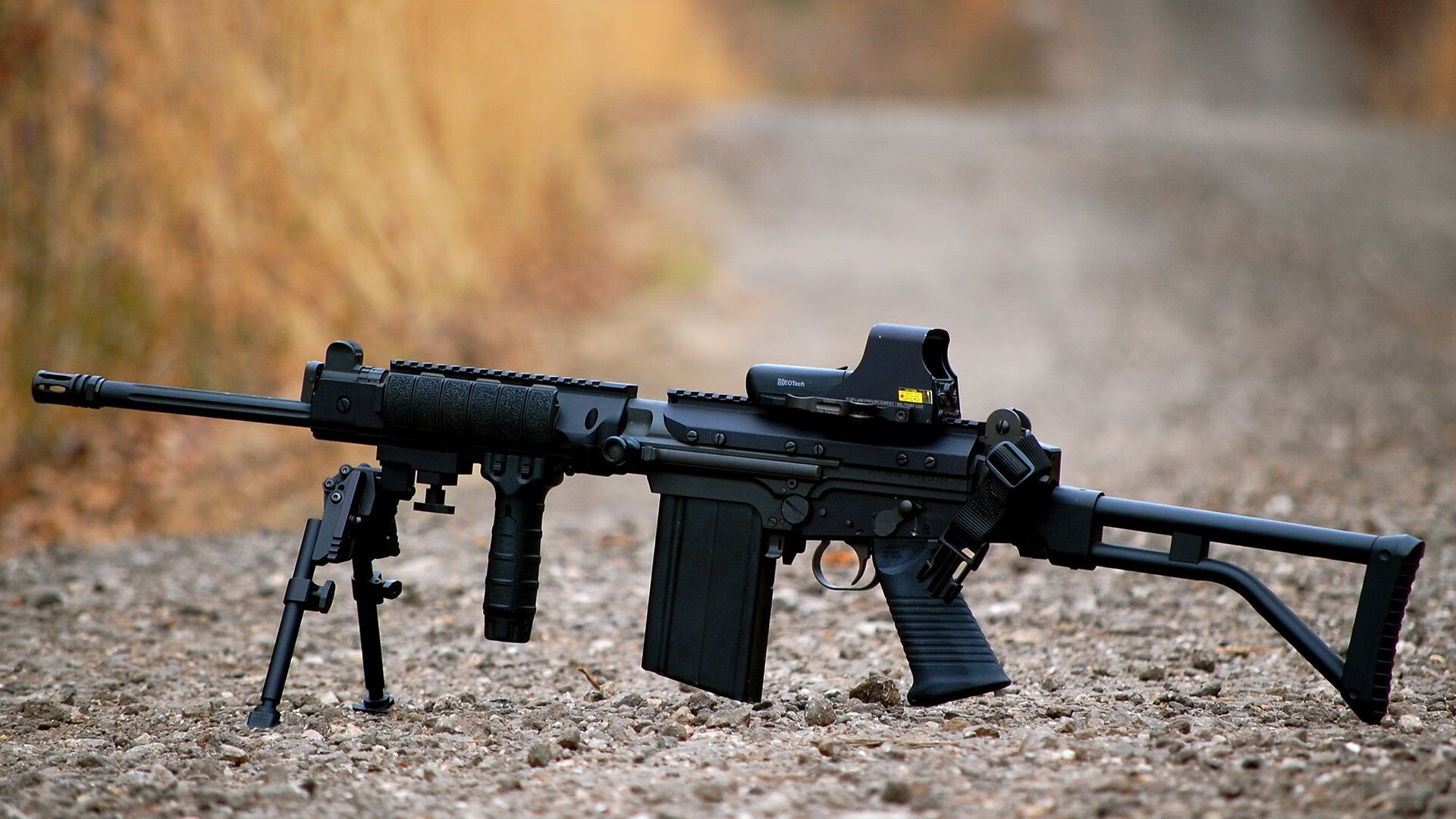 威尔士对阵埃及,加克波如何成为攻防转换的核心引擎