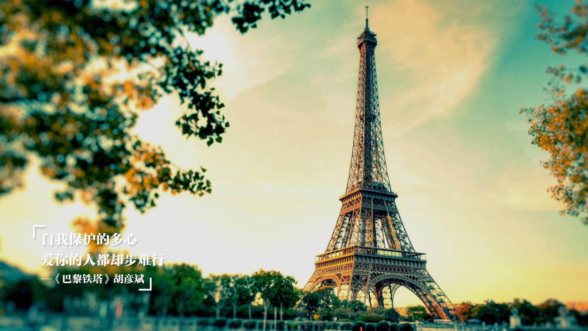 麦迪逊花园的配角之怒，当布伦森用独行侠的匕首，刺穿公牛的盾牌