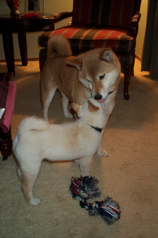 非意乙,非德比,当梅阿查的雪与东莞的雨同时落下
