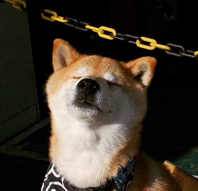 钢铁之心与节奏博弈，德里赫特的关键战哲学与足球大陆的无声战争