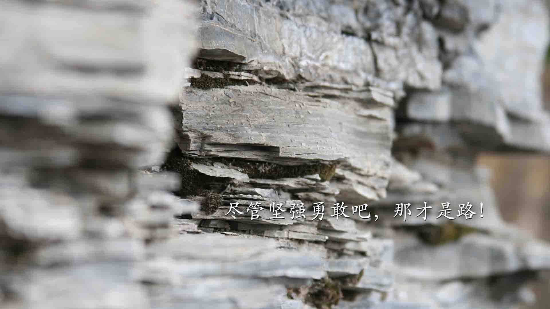 极速与绿茵的交响,迪巴拉在阿布扎比雨夜的重生