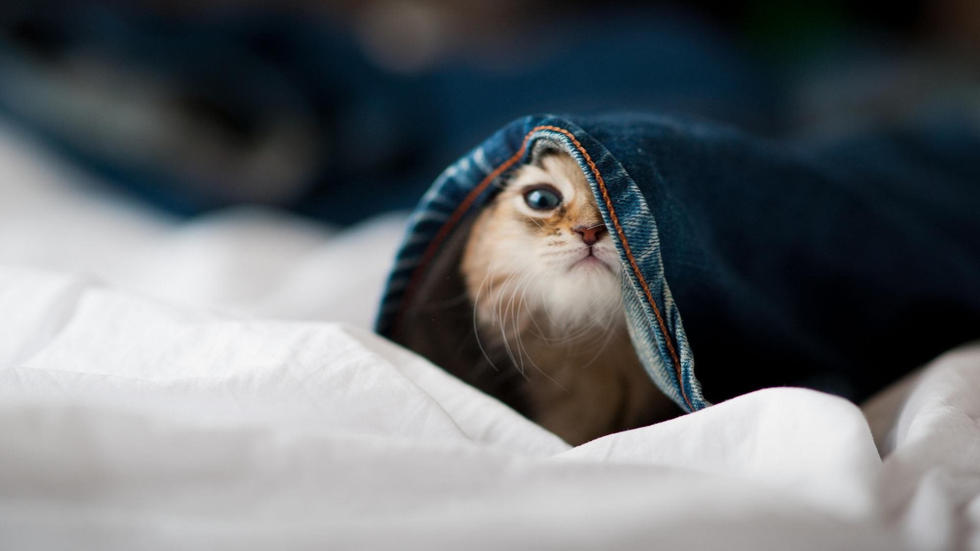 唯一性的证明，当英格兰的铁血遇上皇马的星河，劳塔罗用大场面写下新定义