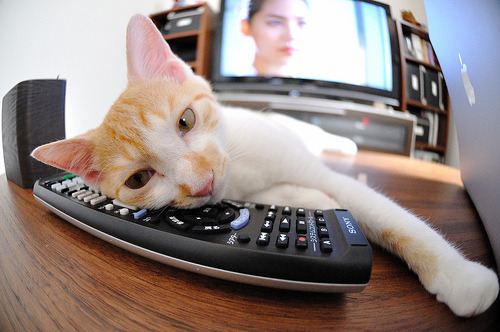 跨越太平洋的对决,当沉默杀手塔图姆在末节降临杭州