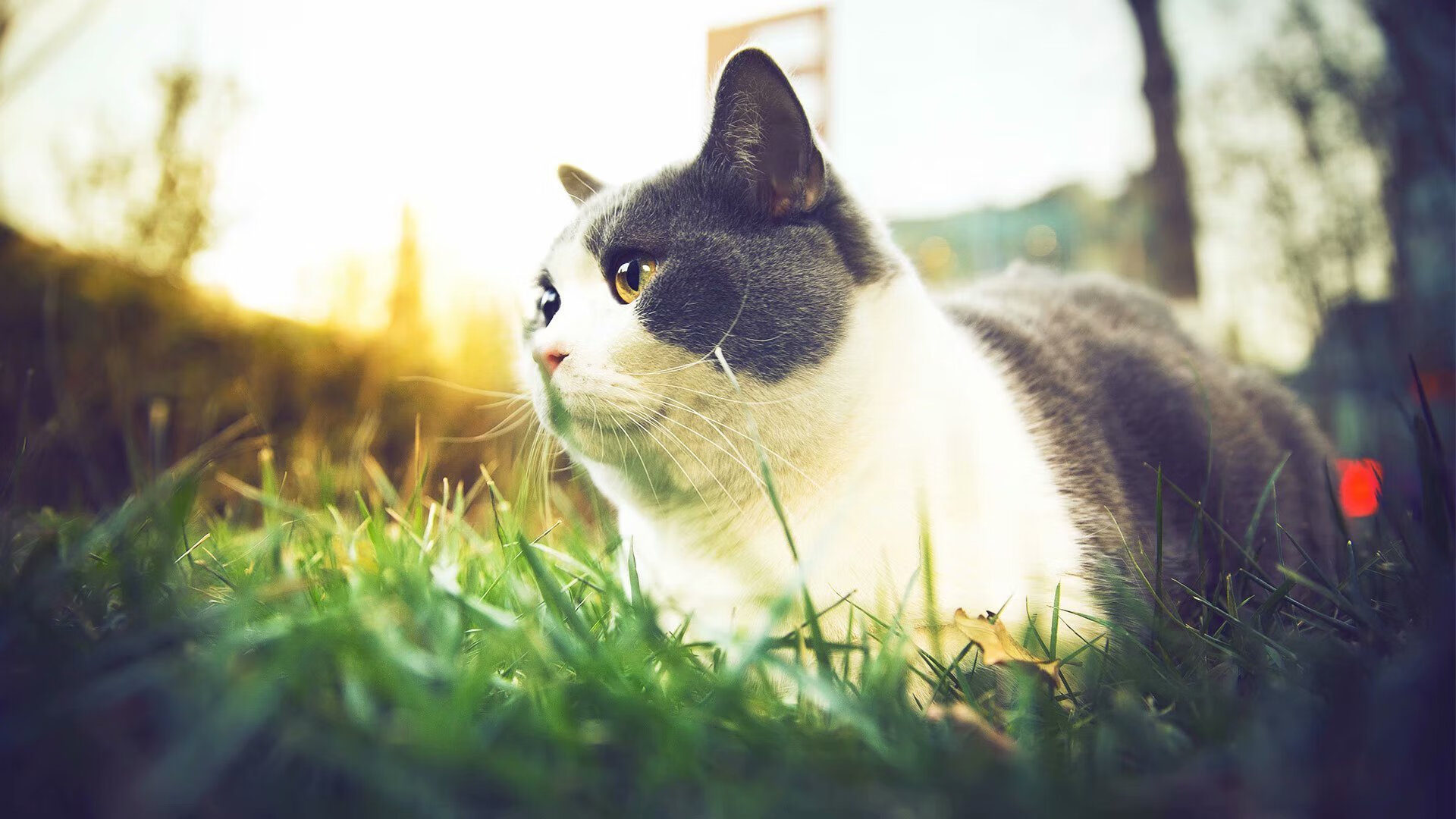防守艺术的胜利，独行侠如何在风暴中心，用克莱的锁链掀翻山西队