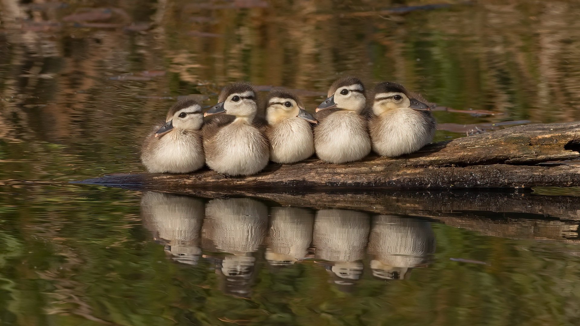 双线狂飙，当F1街道赛的最后弯道遇上马刺击溃湖人的战术棋盘