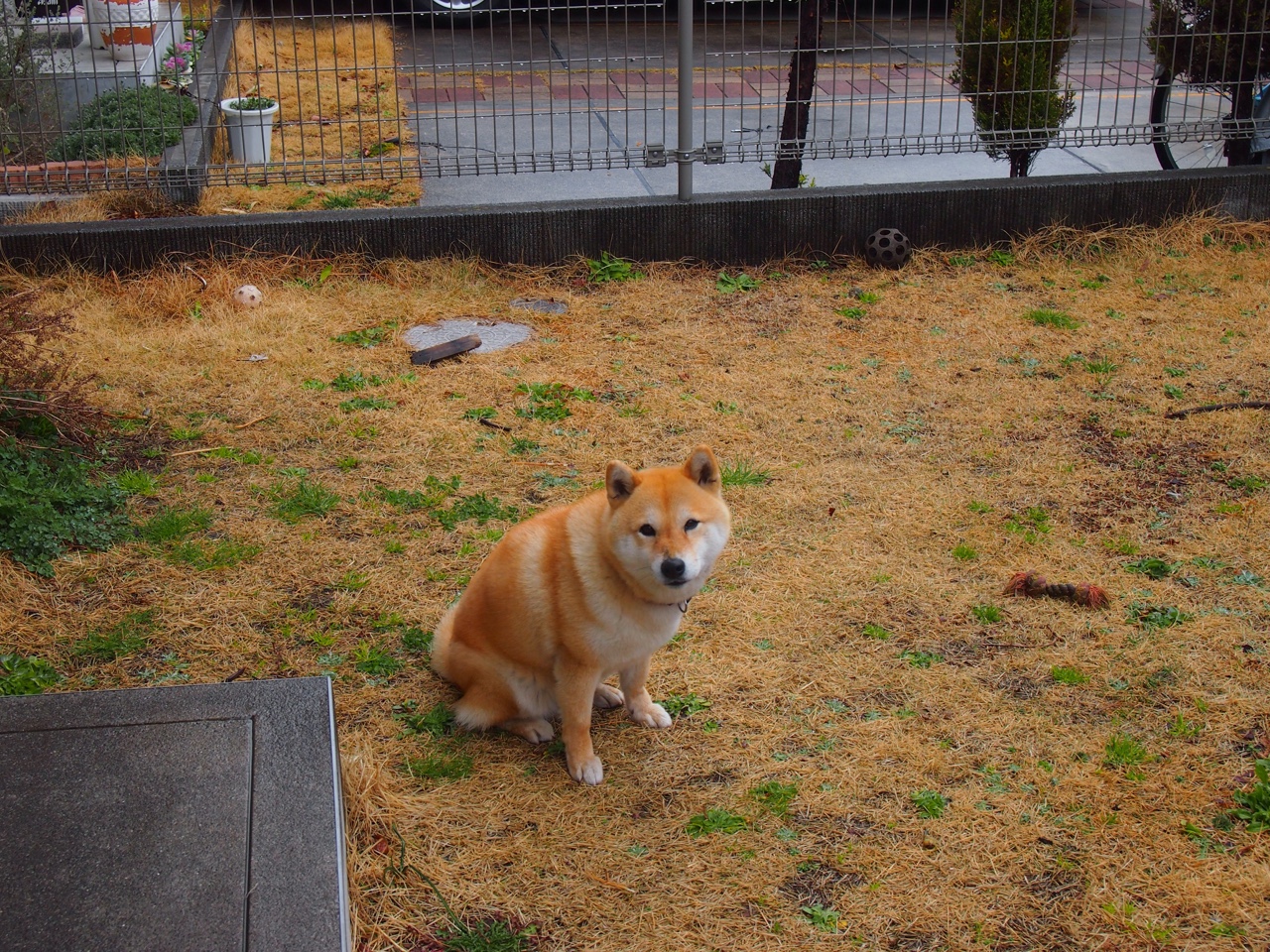 蓝色闪电划过布鲁塞尔，当京多安的致命一击，为德国战车刻下2026的永恒印记