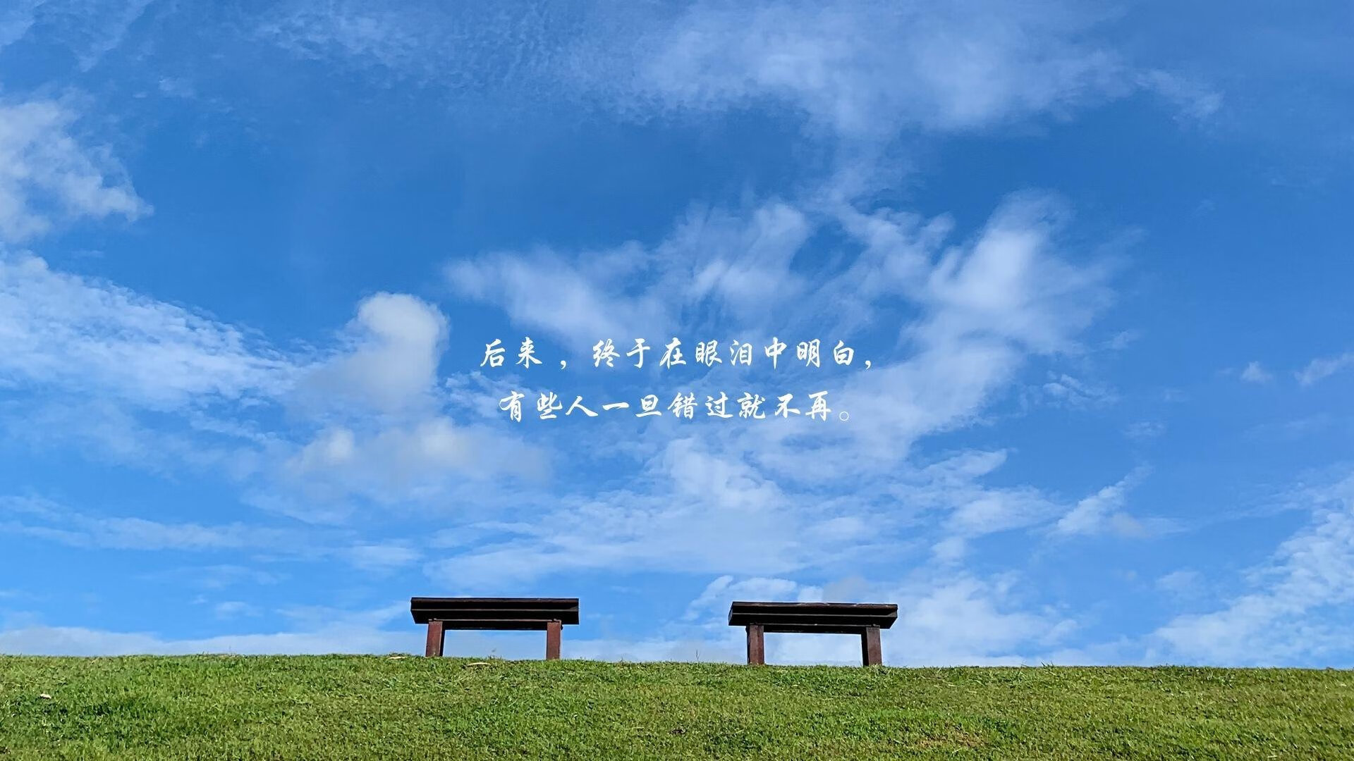 绝杀之夜，穆西亚拉点亮2026世界杯F组，德国战车碾压比利时上演王者归来