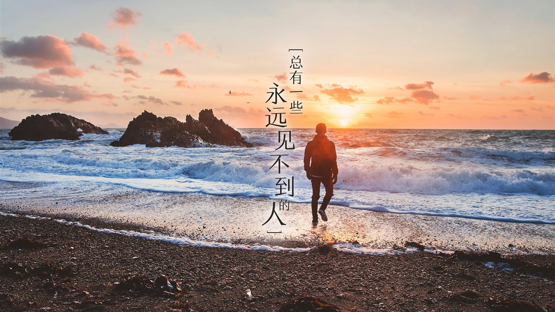 绿茵孤勇,2026世界杯H组生死战,美国险胜巴西,B费独木擎天改写命运