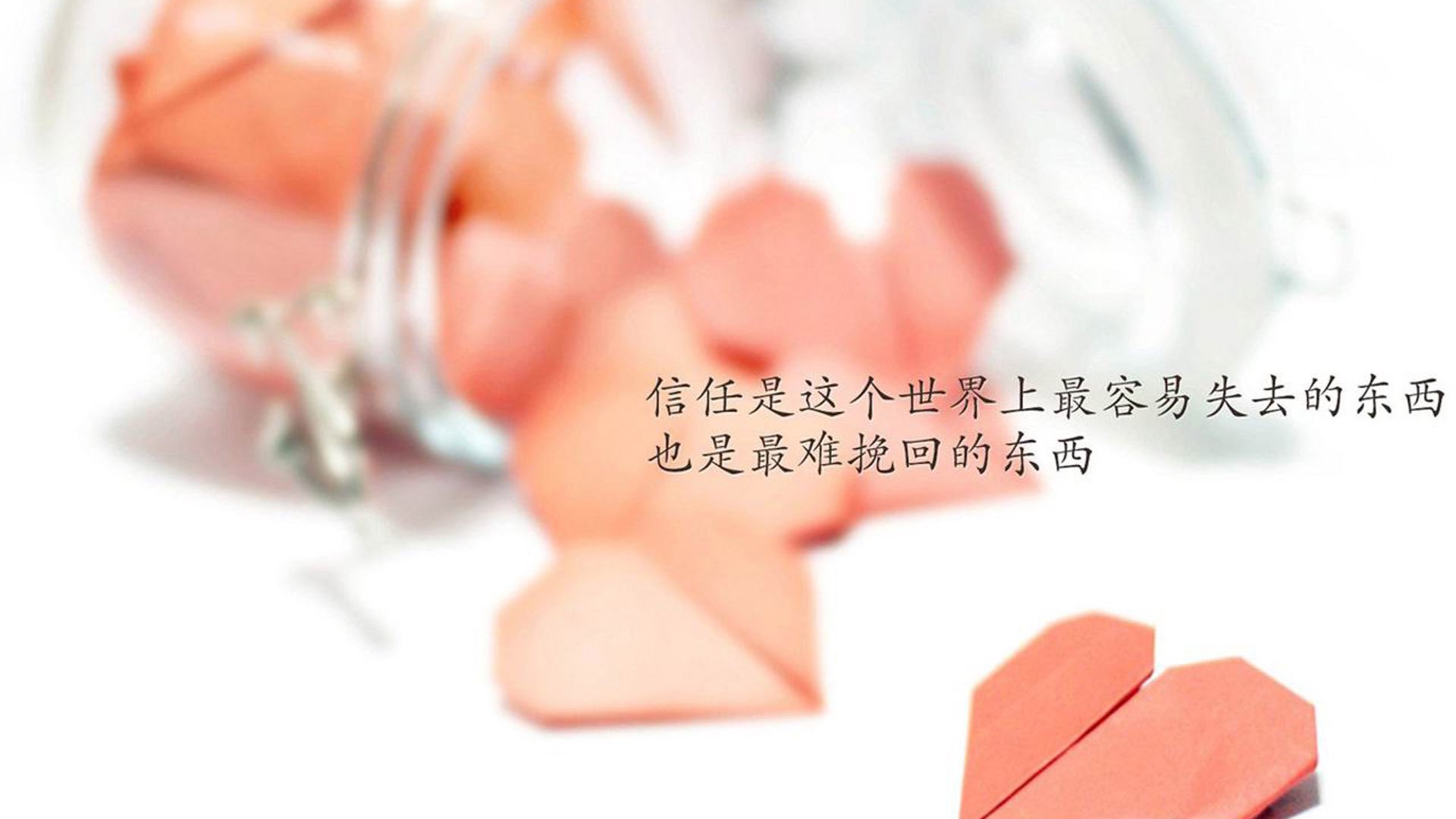当蓝武士撕碎精密仪器—2026世界杯C组首战，一场关于唯一性的哲学宣言